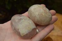 Polished Coral Flower Agate Gallets x 12 From Maintirano, Madagascar - TopRock