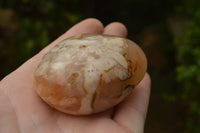 Polished Coral Flower Agate Gallets x 12 From Maintirano, Madagascar - TopRock