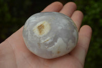 Polished Coral Flower Agate Gallets x 12 From Maintirano, Madagascar - TopRock