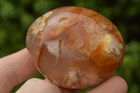 Polished Coral Flower Agate Gallets x 12 From Maintirano, Madagascar - TopRock