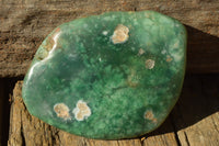 Polished Mtorolite Emerald Chrysophrase Plates x 6 From Zimbabwe - TopRock