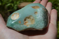 Polished Mtorolite Emerald Chrome Chrysoprase Plates x 6 From Mutorashanga, Zimbabwe - TopRock