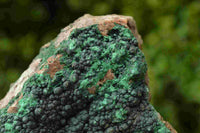 Natural Malachite Specimens x 3 From Tenke Fungumure, Congo - TopRock