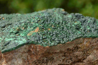 Natural Malachite Specimens x 3 From Tenke Fungumure, Congo - TopRock