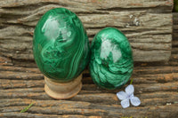 Polished Rare Malachite Gemstone Eggs x 2 From Congo - TopRock