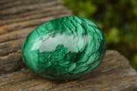 Polished Rare Malachite Gemstone Eggs x 2 From Congo - TopRock