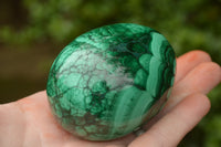 Polished Rare Malachite Gemstone Eggs x 2 From Congo - TopRock