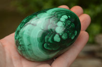 Polished Rare Malachite Gemstone Eggs x 2 From Congo - TopRock