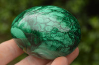 Polished Rare Malachite Gemstone Eggs x 2 From Congo - TopRock