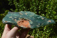 Polished Mtorolite Emerald Chrome Chrysoprase Plates x 4 From Mutorashanga, Zimbabwe - TopRock