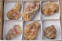 Natural Spirit Cactus Quartz With Golden Hematoid Colouring x 6 From Boekenhouthoek, South Africa - TopRock