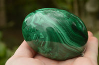 Polished Rare Malachite Gemstone Eggs x 2 From Congo - TopRock