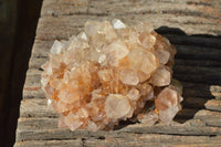 Natural Spirit Cactus Quartz With Golden Hematoid Colouring x 6 From Boekenhouthoek, South Africa - TopRock