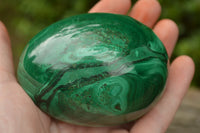 Polished Rare Malachite Gemstone Eggs x 2 From Congo - TopRock