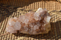 Natural Spirit Cactus Quartz With Golden Hematoid Colouring x 6 From Boekenhouthoek, South Africa - TopRock