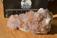 Natural Spirit Cactus Quartz With Golden Hematoid Colouring x 6 From Boekenhouthoek, South Africa - TopRock