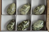 Polished Leopard Stone Free Forms x 6 From Zimbabwe - TopRock