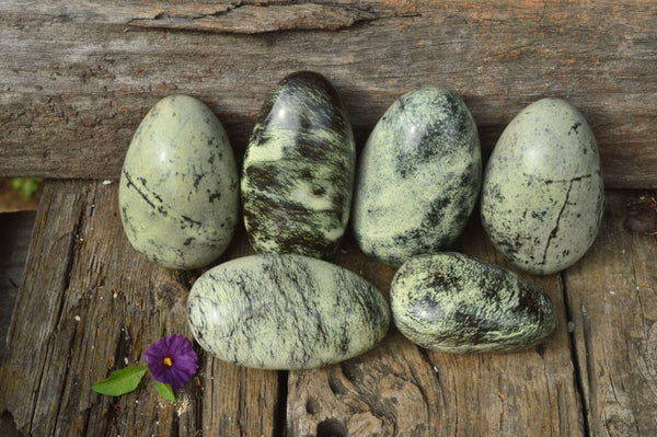 Polished Leopard Stone Free Forms x 6 From Zimbabwe - TopRock