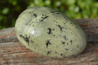 Polished Leopard Stone Free Forms x 6 From Zimbabwe - TopRock