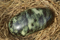 Polished Leopard Stone Free Forms x 6 From Zimbabwe - TopRock