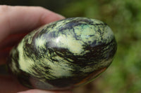 Polished Leopard Stone Free Forms x 6 From Zimbabwe - TopRock