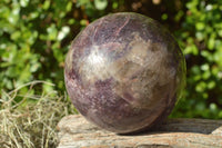 Polished Purple Lepidolite Sphere x 1 From Zimbabwe - TopRock