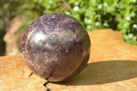 Polished Purple Lepidolite Sphere x 1 From Zimbabwe - TopRock