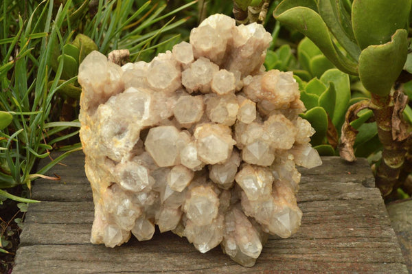 Natural Smokey Phantom Quartz Cluster x 1 From Luena, Congo - TopRock