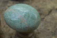 Polished Kobi Amazonite Gallets/ Palm Stones x 12 From Zimbabwe - TopRock