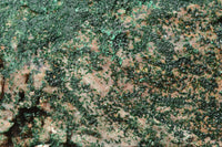 Natural Drusy Malachite on Matrix Specimens x 2 From Tenke Fungurume, Congo - TopRock