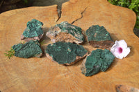 Natural Botryoidal Malachite on Matrix Specimens x 6 From Tenke Fungurume, Congo - TopRock