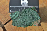 Natural Botryoidal Malachite on Matrix Specimens x 6 From Tenke Fungurume, Congo - TopRock