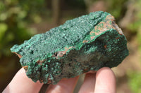 Natural Botryoidal Malachite on Matrix Specimens x 6 From Tenke Fungurume, Congo - TopRock