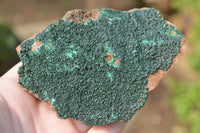 Natural Botryoidal Malachite on Matrix Specimens x 6 From Tenke Fungurume, Congo - TopRock