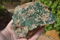 Natural Botryoidal Malachite on Matrix Specimens x 6 From Tenke Fungurume, Congo - TopRock