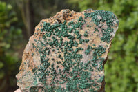 Natural Botryoidal Malachite on Matrix Specimens x 6 From Tenke Fungurume, Congo - TopRock