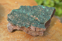 Natural Botryoidal Malachite on Matrix Specimens x 6 From Tenke Fungurume, Congo - TopRock