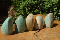 Polished Kobi Amazonite Standing Free Forms x 9 From Zimbabwe - TopRock