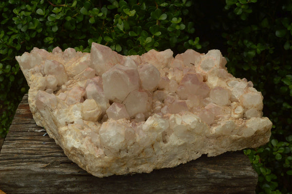 Natural Extra Large Cascading Quartz Red Hematoid Tinted Cluster x 1 From Zambia - TopRock