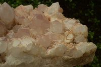 Natural Extra Large Cascading Quartz Red Hematoid Tinted Cluster x 1 From Zambia - TopRock