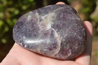 Polished Large Dark Reddish Purple Lepidolite Free Forms x 4 From Zimbabwe - TopRock