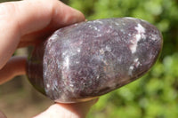 Polished Large Dark Reddish Purple Lepidolite Free Forms x 4 From Zimbabwe - TopRock