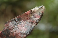 Natural Cobbed Rhodonite Pieces x 12 From Rushinga, Zimbabwe - TopRock