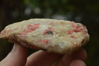 Natural Cobbed Rhodonite Pieces x 12 From Rushinga, Zimbabwe - TopRock