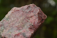 Natural Cobbed Rhodonite Pieces x 12 From Rushinga, Zimbabwe - TopRock