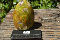 Polished Highly Selected Green Opal Standing Free Forms x 6 From Antsirabe, Madagascar - TopRock