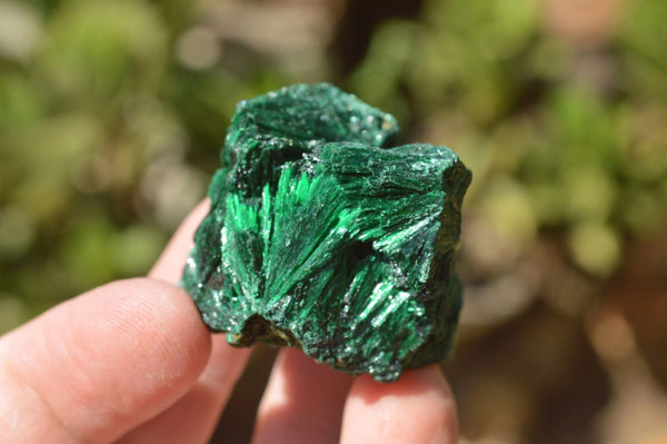 Natural Small Chatoyant Silky Malachite Specimens x 35 From Kasompe, Congo - TopRock