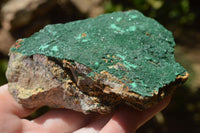 Natural Botryoidal Drusy Malachite on Matrix Specimens x 3 From Congo - TopRock