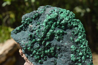 Natural Botryoidal Drusy Malachite on Matrix Specimens x 3 From Congo - TopRock