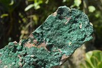 Natural Botryoidal Drusy Malachite on Matrix Specimens x 3 From Congo - TopRock